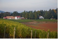 winecountryfarm5